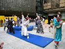 shakespeare_clowns_045.JPG